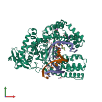 PDB entry 4elt coloured by chain, front view.