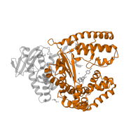 The deposited structure of PDB entry 4elv contains 1 copy of Pfam domain PF00476 (DNA polymerase family A) in DNA polymerase I, thermostable. Showing 1 copy in chain A.