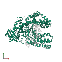 DNA polymerase I, thermostable in PDB entry 4elv, assembly 1, front view.