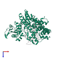 DNA polymerase I, thermostable in PDB entry 4elv, assembly 1, top view.