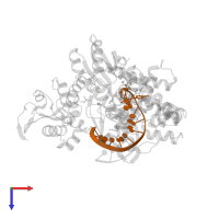 DNA (5'-D(*GP*AP*CP*CP*AP*CP*GP*GP*CP*GP*CP*(0R8))-3') in PDB entry 4elv, assembly 1, top view.