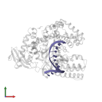 DNA (5'-D(*AP*AP*AP*GP*GP*GP*CP*GP*CP*CP*GP*TP*GP*GP*TP*C)-3') in PDB entry 4elv, assembly 1, front view.