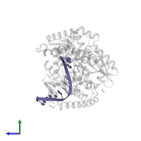 DNA (5'-D(*AP*AP*AP*GP*GP*GP*CP*GP*CP*CP*GP*TP*GP*GP*TP*C)-3') in PDB entry 4elv, assembly 1, side view.