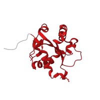 The deposited structure of PDB entry 4eo7 contains 1 copy of CATH domain 3.40.50.10140 (Rossmann fold) in Myeloid differentiation primary response protein MyD88. Showing 1 copy in chain A.