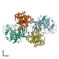 PDB entry 4eoi coloured by chain, front view.