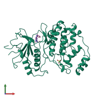 PDB entry 4erk coloured by chain, front view.