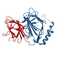 The deposited structure of PDB entry 4ero contains 2 copies of CATH domain 2.60.120.10 (Jelly Rolls) in Pirin. Showing 2 copies in chain A.