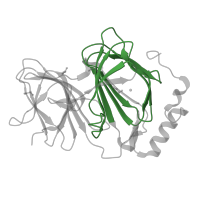 The deposited structure of PDB entry 4ero contains 1 copy of Pfam domain PF02678 (Pirin) in Pirin. Showing 1 copy in chain A.