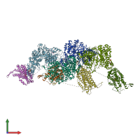 PDB entry 4erp coloured by chain, front view.