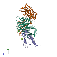 PDB entry 4ers coloured by chain, side view.