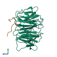 PDB entry 4ery coloured by chain, side view.