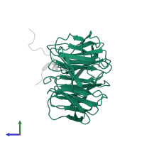 WD repeat-containing protein 5 in PDB entry 4esg, assembly 1, side view.