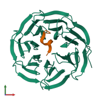 PDB entry 4ewr coloured by chain, front view.
