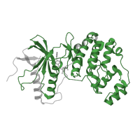 The deposited structure of PDB entry 4eyj contains 1 copy of Pfam domain PF00069 (Protein kinase domain) in Mitogen-activated protein kinase 13. Showing 1 copy in chain A.