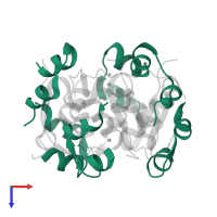 Insulin A chain in PDB entry 4eyn, assembly 1, top view.