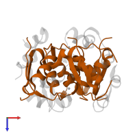 Insulin B chain in PDB entry 4eyn, assembly 1, top view.