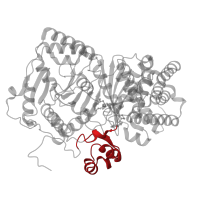 The deposited structure of PDB entry 4eyw contains 2 copies of CATH domain 1.20.1280.180 (Monooxygenase) in Carnitine O-palmitoyltransferase 2, mitochondrial. Showing 1 copy in chain B.