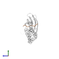Antibacterial protein PR-39 in PDB entry 4ezo, assembly 2, side view.