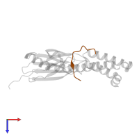 Proline rich bombesin-related protein in PDB entry 4ezu, assembly 4, top view.