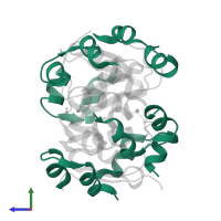 Insulin A chain in PDB entry 4f1b, assembly 1, side view.