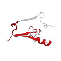 The deposited structure of PDB entry 4f1e contains 18 copies of CATH domain 3.40.5.90 (Ribosomal Protein L9; domain 1) in CDGSH iron-sulfur domain-containing protein 1. Showing 1 copy in chain C.