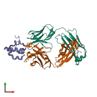 PDB entry 4f3f coloured by chain, front view.