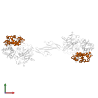 Hemoglobin subunit beta in PDB entry 4f4o, assembly 2, front view.