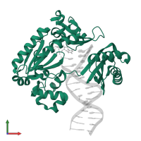 DNA polymerase IV in PDB entry 4f4w, assembly 1, front view.