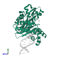 DNA polymerase IV in PDB entry 4f4w, assembly 1, side view.