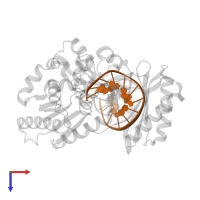 DNA (5'-D(*GP*GP*CP*AP*CP*TP*GP*AP*TP*CP*GP*GP*C)-3') in PDB entry 4f4w, assembly 1, top view.