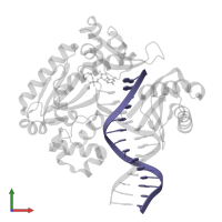 DNA (5'-D(*TP*TP*AP*CP*GP*GP*CP*CP*GP*AP*TP*CP*AP*GP*TP*GP*CP*C)-3') in PDB entry 4f4w, assembly 1, front view.