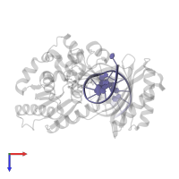 DNA (5'-D(*TP*TP*AP*CP*GP*GP*CP*CP*GP*AP*TP*CP*AP*GP*TP*GP*CP*C)-3') in PDB entry 4f4w, assembly 1, top view.