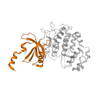 The deposited structure of PDB entry 4f6w contains 1 copy of CATH domain 3.30.200.20 (Phosphorylase Kinase; domain 1) in Cyclin-dependent kinase 8. Showing 1 copy in chain A.