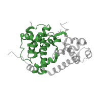 The deposited structure of PDB entry 4f6w contains 1 copy of Pfam domain PF00134 (Cyclin, N-terminal domain) in Cyclin-C. Showing 1 copy in chain B.