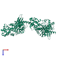 Hexokinase-1 in PDB entry 4f9o, assembly 2, top view.