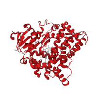 The deposited structure of PDB entry 4fdh contains 12 copies of CATH domain 1.10.630.10 (Cytochrome p450) in Cytochrome P450 11B2, mitochondrial. Showing 1 copy in chain E.