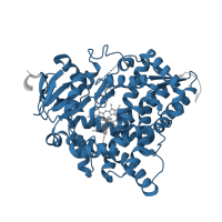 The deposited structure of PDB entry 4fdh contains 12 copies of Pfam domain PF00067 (Cytochrome P450) in Cytochrome P450 11B2, mitochondrial. Showing 1 copy in chain E.