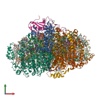 PDB entry 4fe1 coloured by chain, front view.
