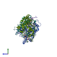 PDB entry 4fgl coloured by chain, side view.