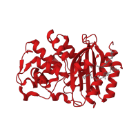 The deposited structure of PDB entry 4fh4 contains 1 copy of CATH domain 3.40.710.10 (Beta-lactamase) in Beta-lactamase SHV-1. Showing 1 copy in chain A.