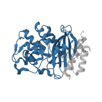 The deposited structure of PDB entry 4fh4 contains 1 copy of Pfam domain PF13354 (Beta-lactamase enzyme family) in Beta-lactamase SHV-1. Showing 1 copy in chain A.