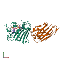 PDB entry 4fhb coloured by chain, front view.