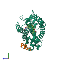 PDB entry 4fhh coloured by chain, side view.