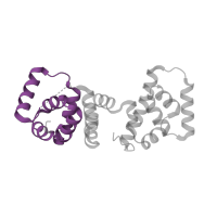 The deposited structure of PDB entry 4fhr contains 1 copy of Pfam domain PF14841 (FliG middle domain) in Flagellar motor switch protein FliG. Showing 1 copy in chain B.