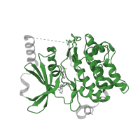 The deposited structure of PDB entry 4fie contains 2 copies of Pfam domain PF00069 (Protein kinase domain) in Serine/threonine-protein kinase PAK 4. Showing 1 copy in chain A.