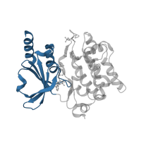 The deposited structure of PDB entry 4fig contains 2 copies of CATH domain 3.30.200.20 (Phosphorylase Kinase; domain 1) in Serine/threonine-protein kinase PAK 4. Showing 1 copy in chain A.