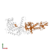 DNA mismatch repair protein PMS1 in PDB entry 4fmo, assembly 1, front view.