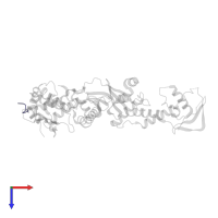 Exodeoxyribonuclease 1 in PDB entry 4fmo, assembly 1, top view.