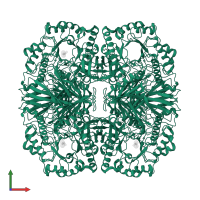 Alpha-galactosidase AgaA in PDB entry 4fnt, assembly 1, front view.