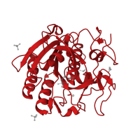 The deposited structure of PDB entry 4fon contains 1 copy of CATH domain 3.40.50.200 (Rossmann fold) in Proteinase K. Showing 1 copy in chain A.